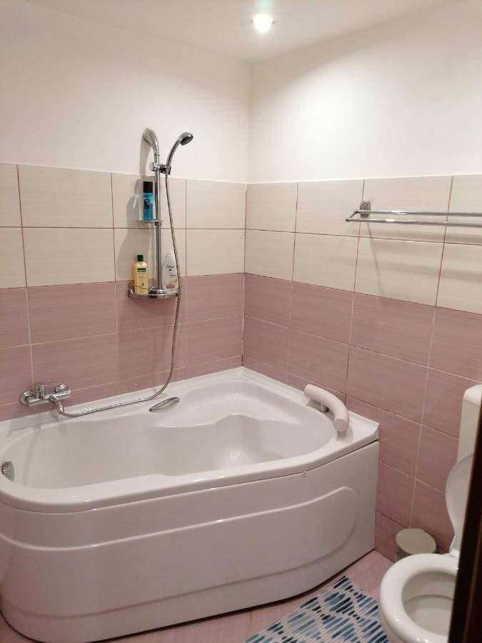 Masaryss Apartament Тулча Экстерьер фото